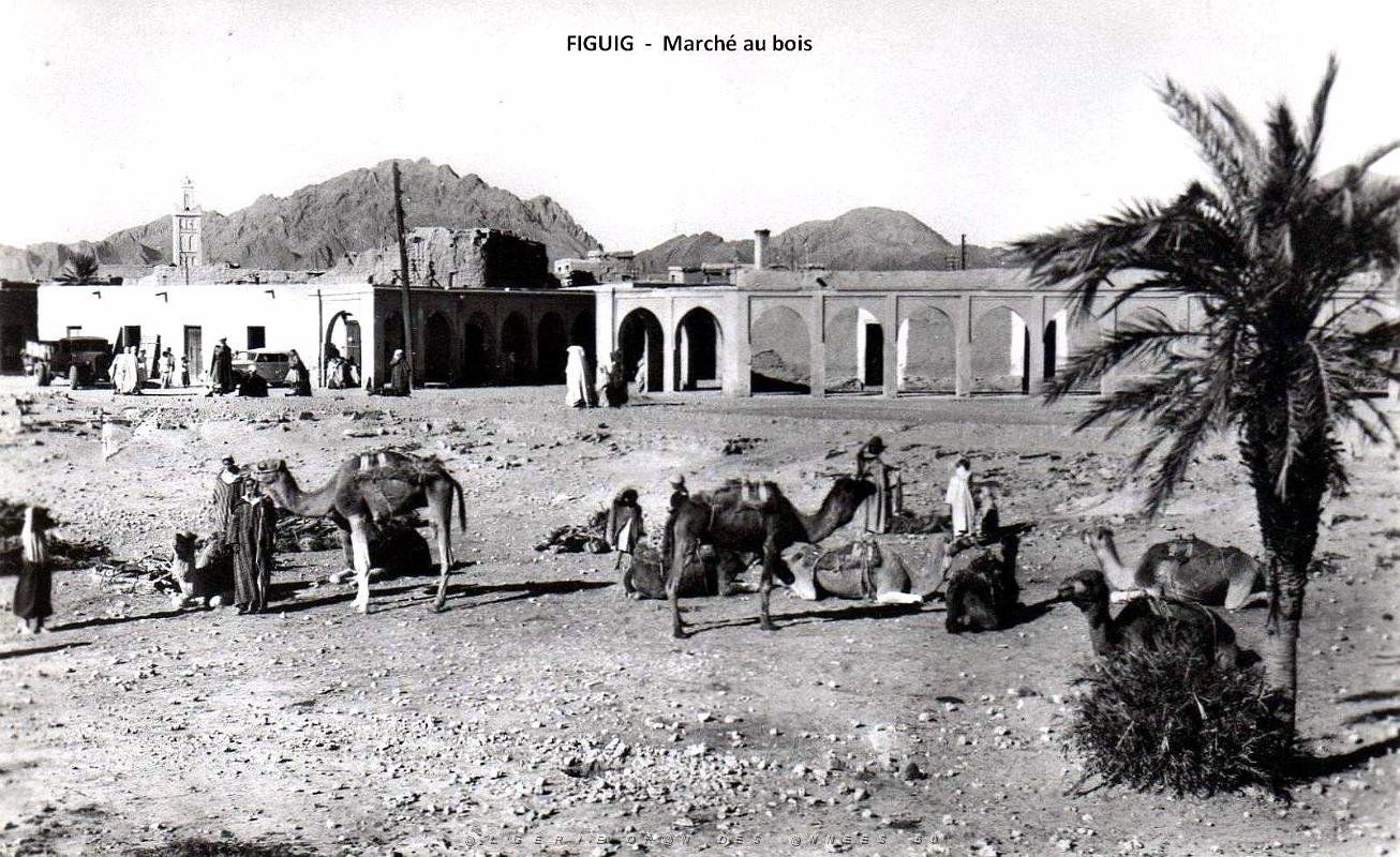 Figuig - Marche au bois.jpg